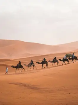 Grupo Girotrip no deserto, travessia de camelo